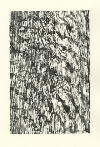 06. Imprint II, Wood cut, 30 x 22 cm 06. Imprint II, Wood cut, 30 x 22 cm