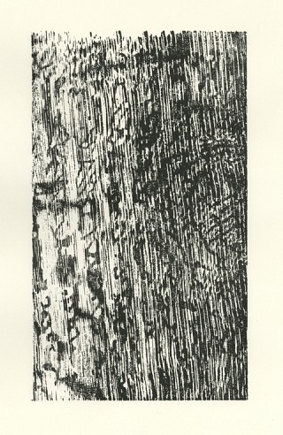 07. Imprint III, Wood cut, 30 x 22 cm 07. Imprint III, Wood cut, 30 x 22 cm
