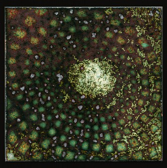 07. Untitled, Enamel on copper. Also available as a digital print 07. Untitled, Enamel on copper. Also available as a digital print