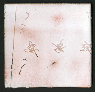 21. Untitled, Enamel on copper. Also available as a digital print 21. Untitled, Enamel on copper. Also available as a digital print