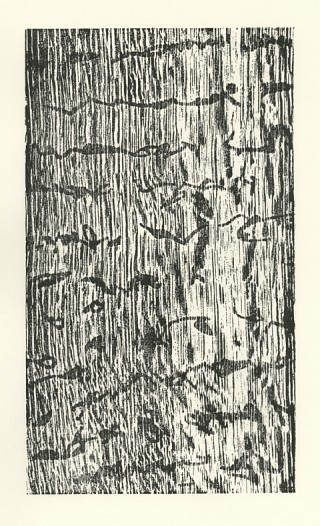 05. Imprint I, Wood cut, 30 x 22 cm 05. Imprint I, Wood cut, 30 x 22 cm