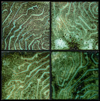 06. Untitled, Enamel on copper. Also available as a digital print 06. Untitled, Enamel on copper. Also available as a digital print