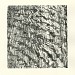 06. Imprint II, Wood cut, 30 x 22 cm 06. Imprint II, Wood cut, 30 x 22 cm